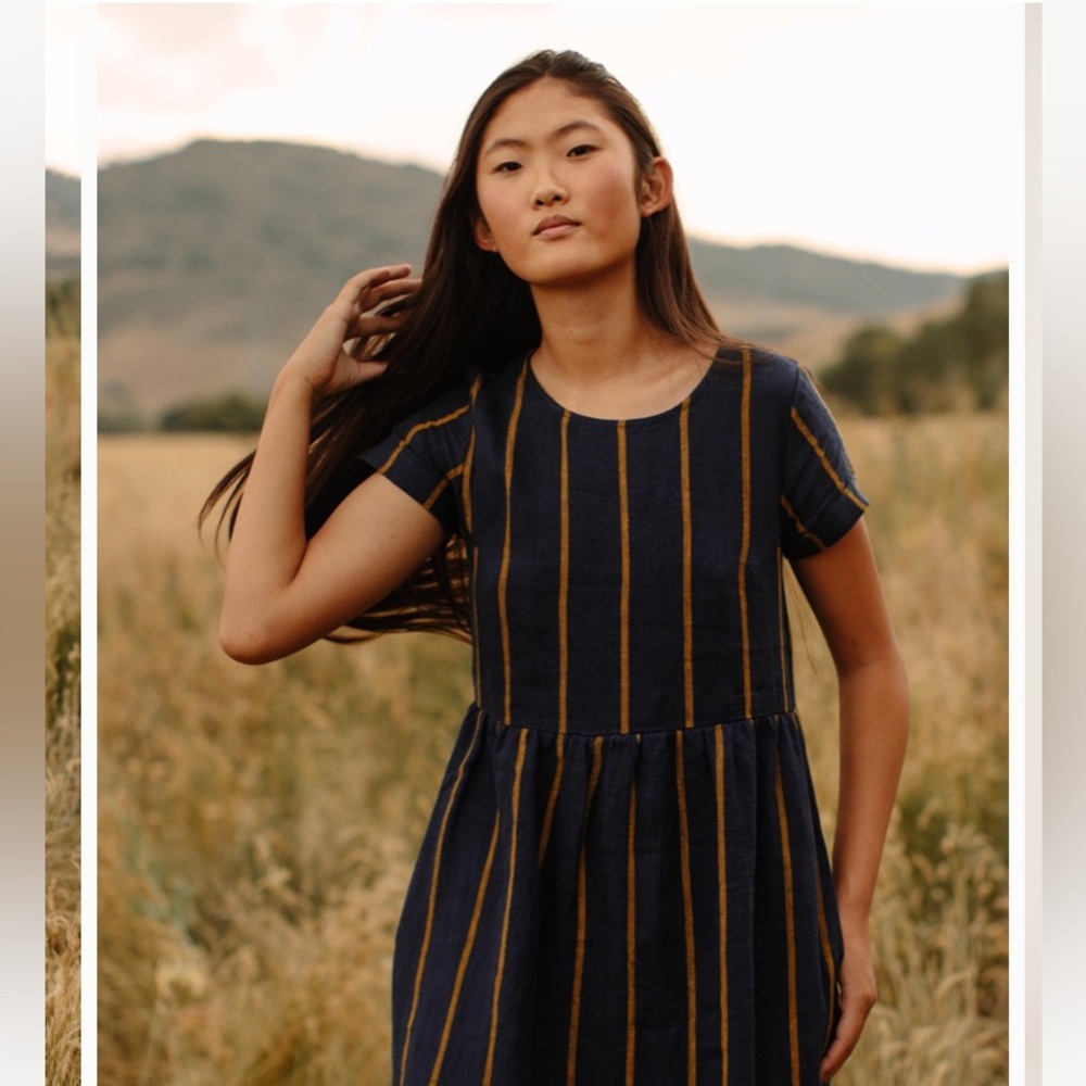 Pyne & Smith Model No. 17 Oxford Stripe Dress Navy Blue & Yellow Striped Linen - Picture 2 of 8